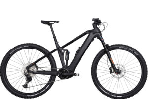 Electric bike rental